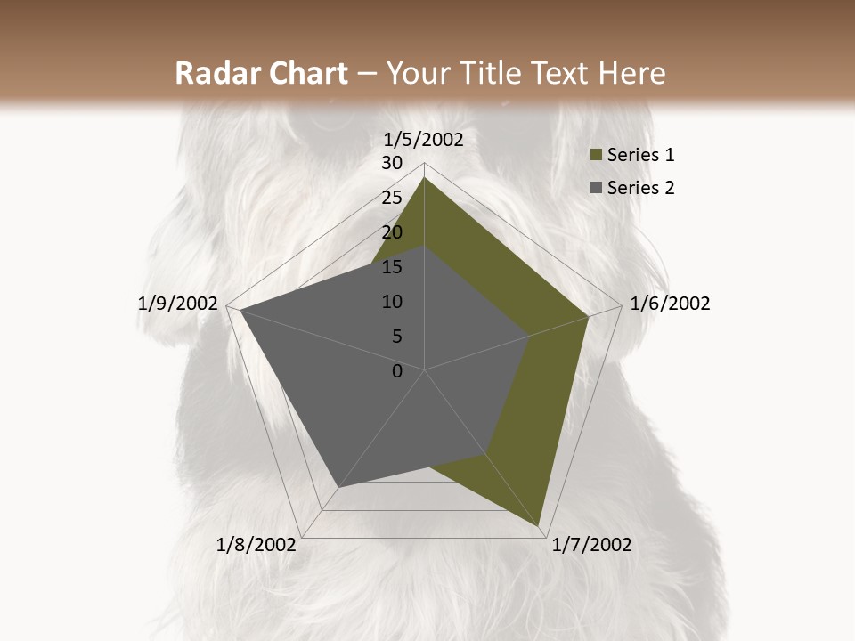 Years Old Animal Themes Obedient PowerPoint Template