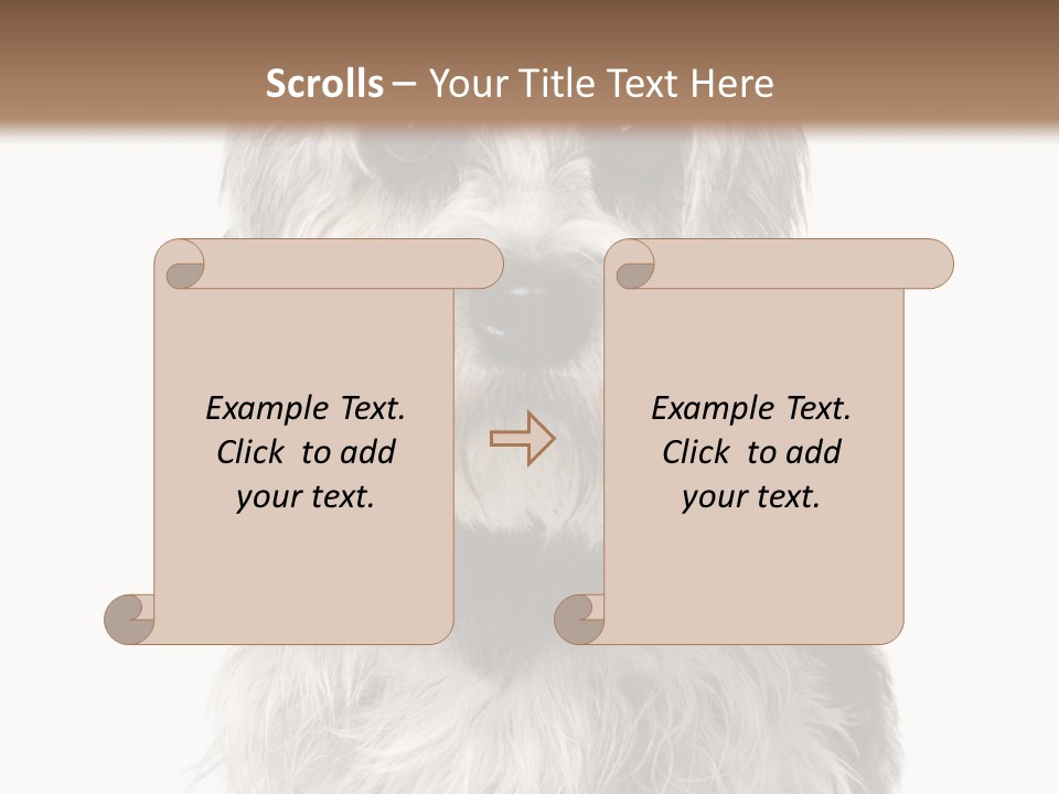Years Old Animal Themes Obedient PowerPoint Template