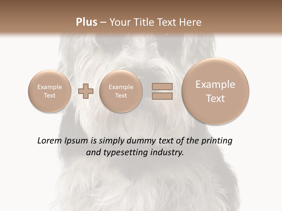 Years Old Animal Themes Obedient PowerPoint Template