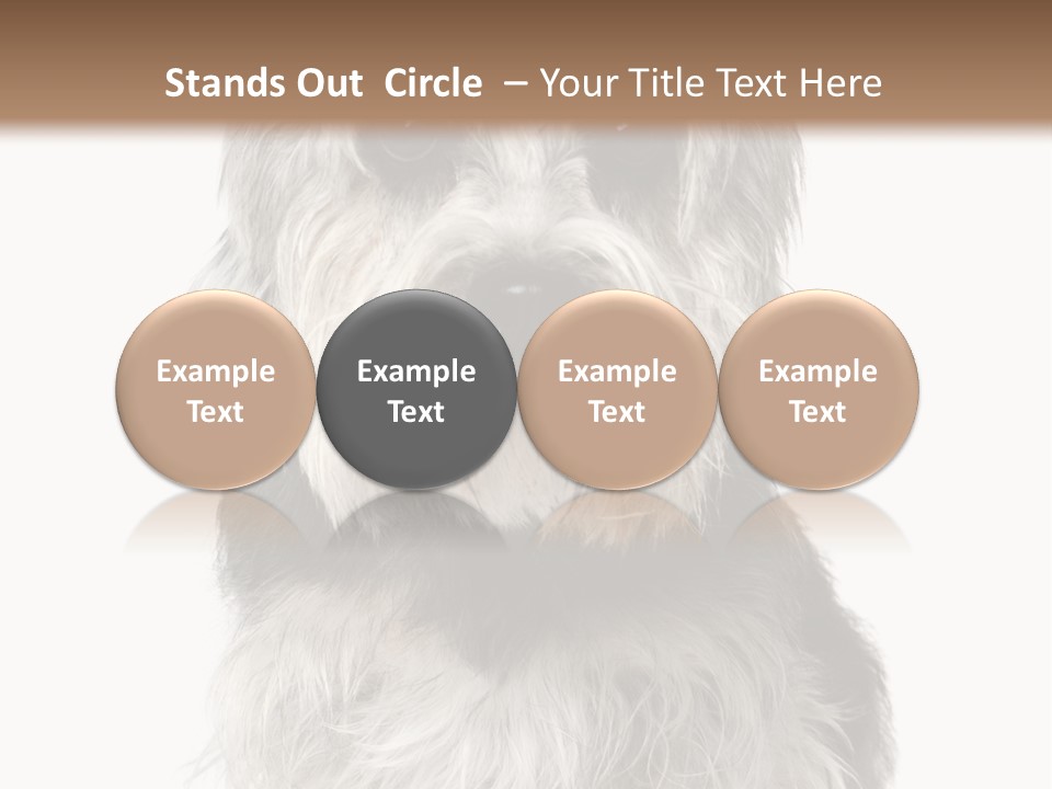Years Old Animal Themes Obedient PowerPoint Template