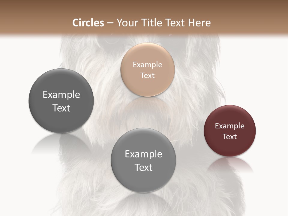 Years Old Animal Themes Obedient PowerPoint Template