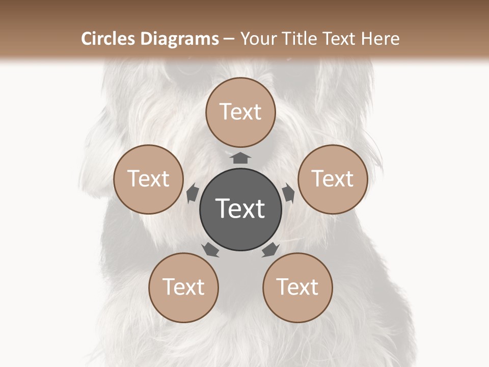 Years Old Animal Themes Obedient PowerPoint Template