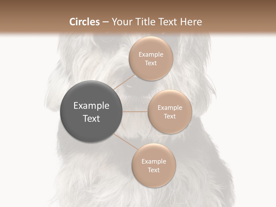 Years Old Animal Themes Obedient PowerPoint Template