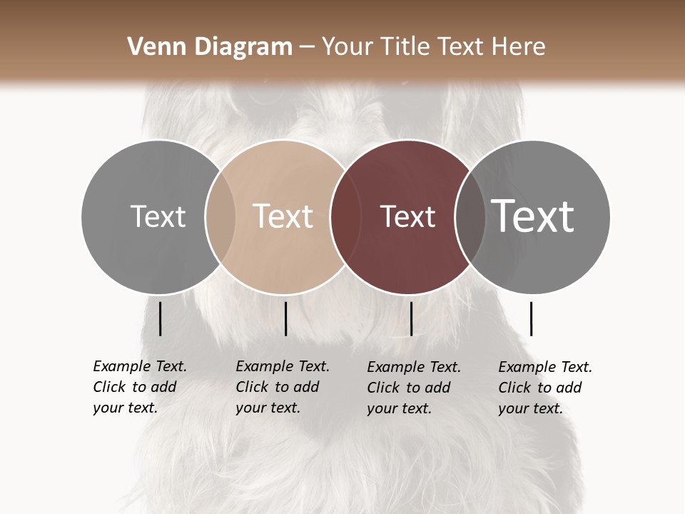 Years Old Animal Themes Obedient PowerPoint Template