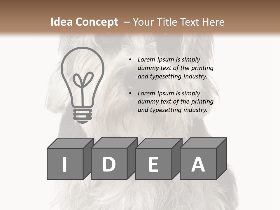 Years Old Animal Themes Obedient PowerPoint Template