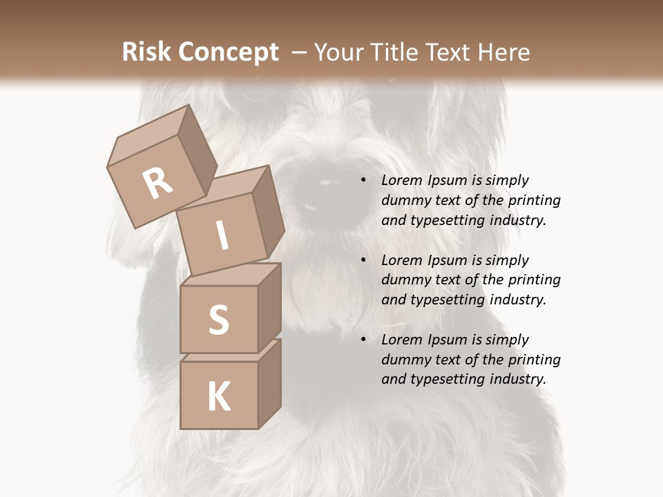 Years Old Animal Themes Obedient PowerPoint Template