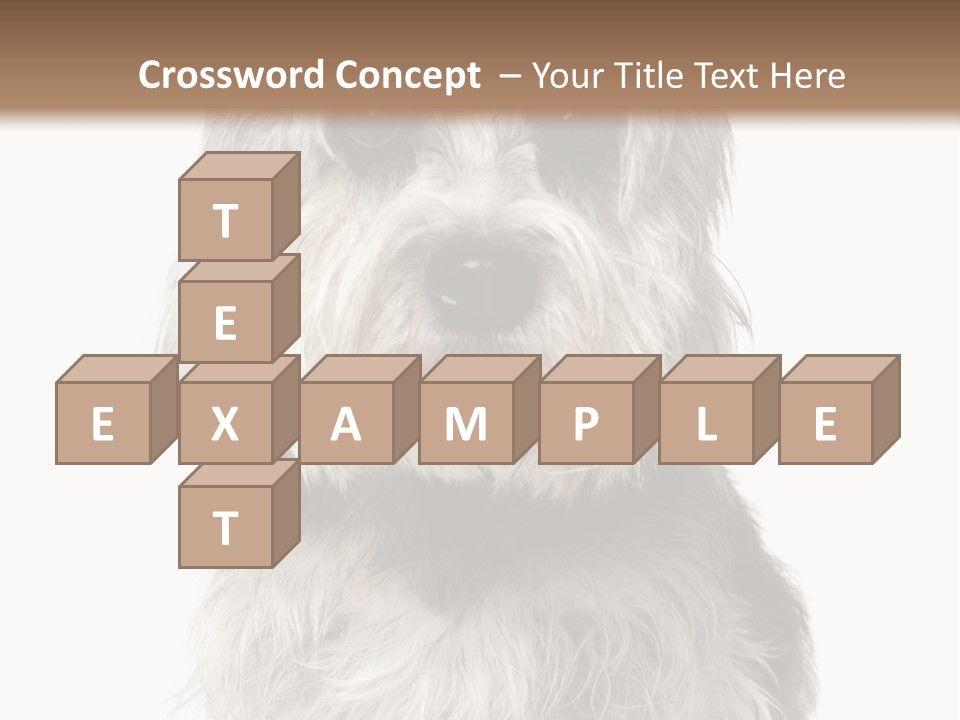 Years Old Animal Themes Obedient PowerPoint Template