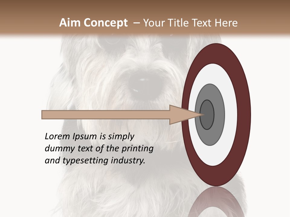 Years Old Animal Themes Obedient PowerPoint Template
