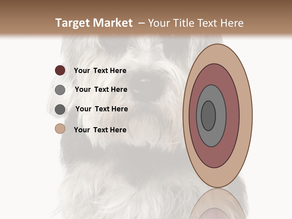 Years Old Animal Themes Obedient PowerPoint Template