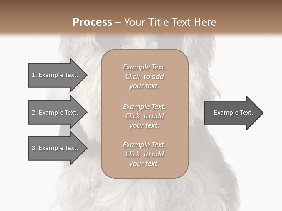 Years Old Animal Themes Obedient PowerPoint Template