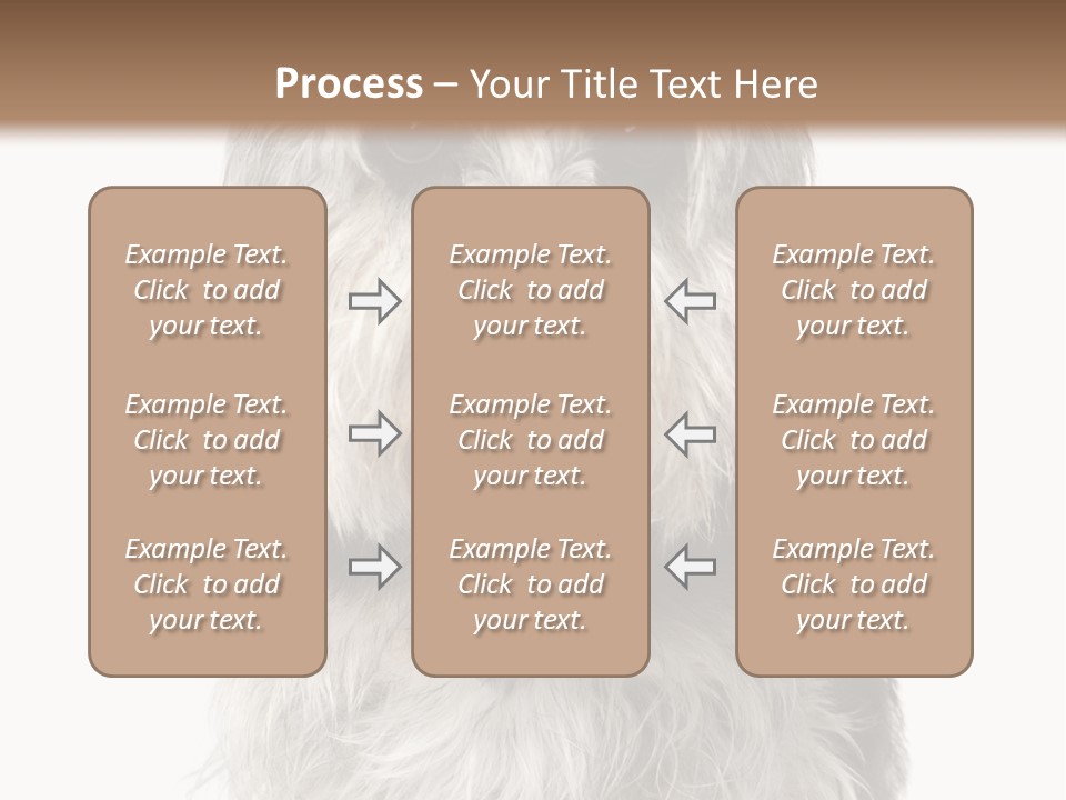 Years Old Animal Themes Obedient PowerPoint Template