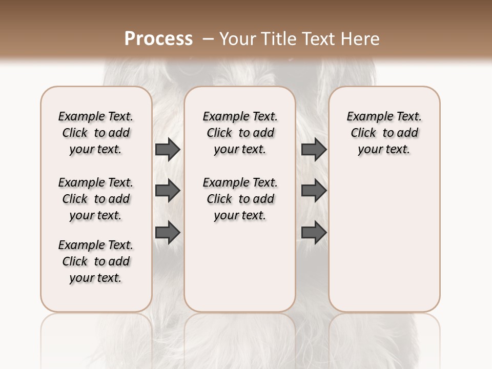 Years Old Animal Themes Obedient PowerPoint Template