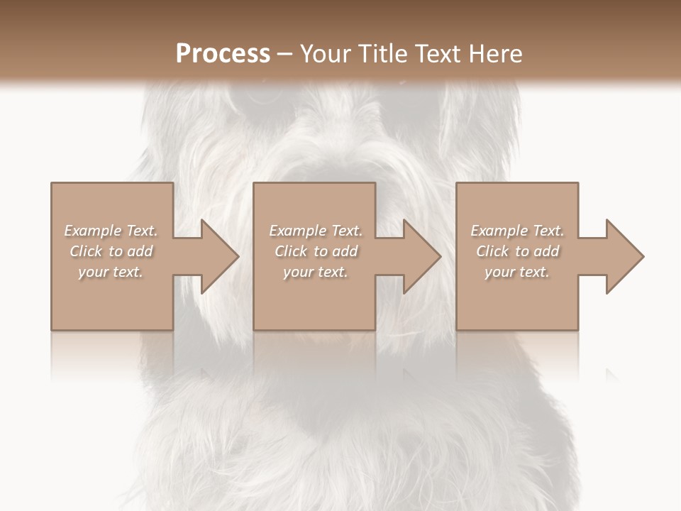 Years Old Animal Themes Obedient PowerPoint Template