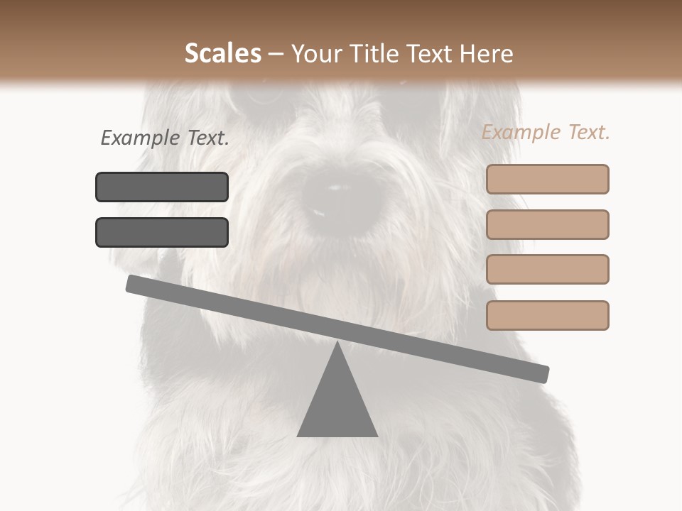 Years Old Animal Themes Obedient PowerPoint Template