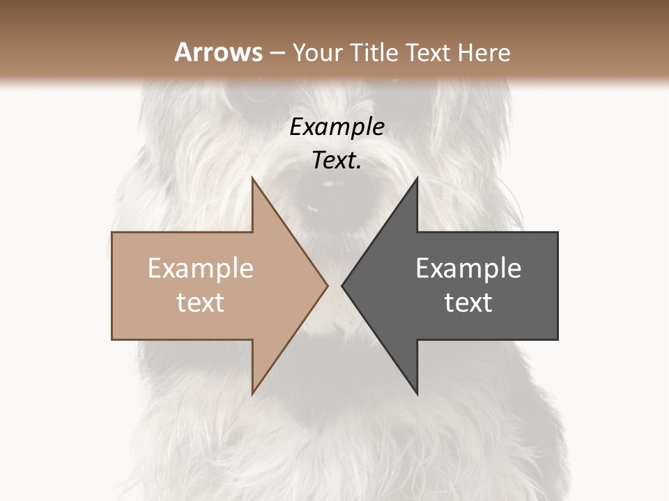 Years Old Animal Themes Obedient PowerPoint Template