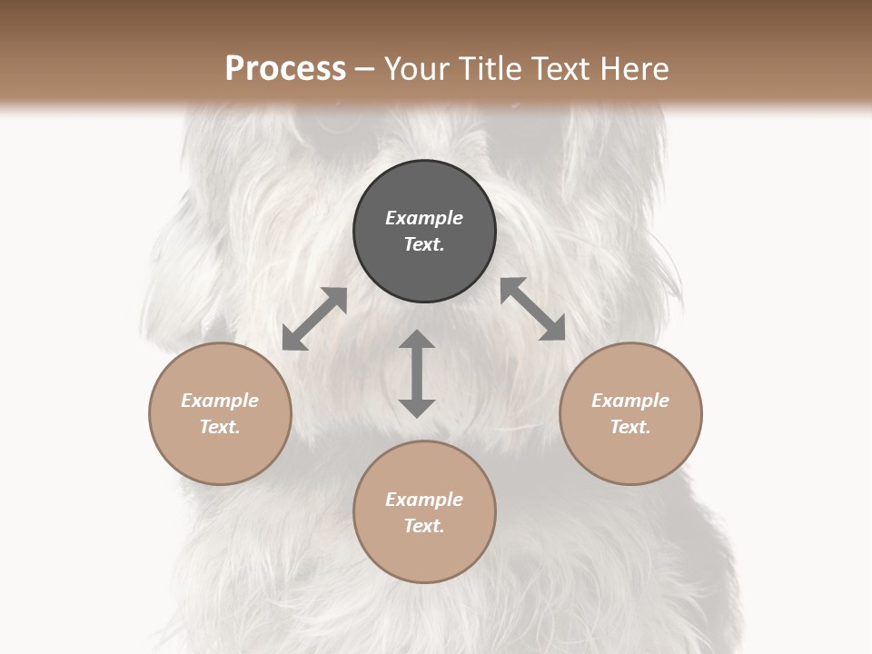 Years Old Animal Themes Obedient PowerPoint Template