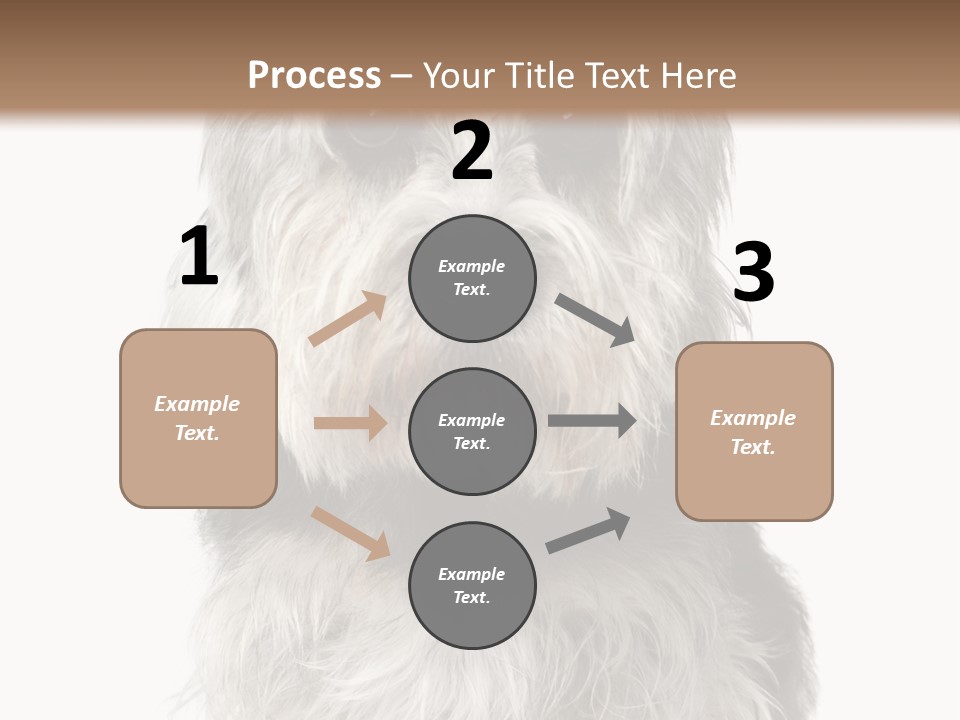 Years Old Animal Themes Obedient PowerPoint Template