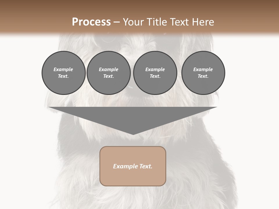 Years Old Animal Themes Obedient PowerPoint Template