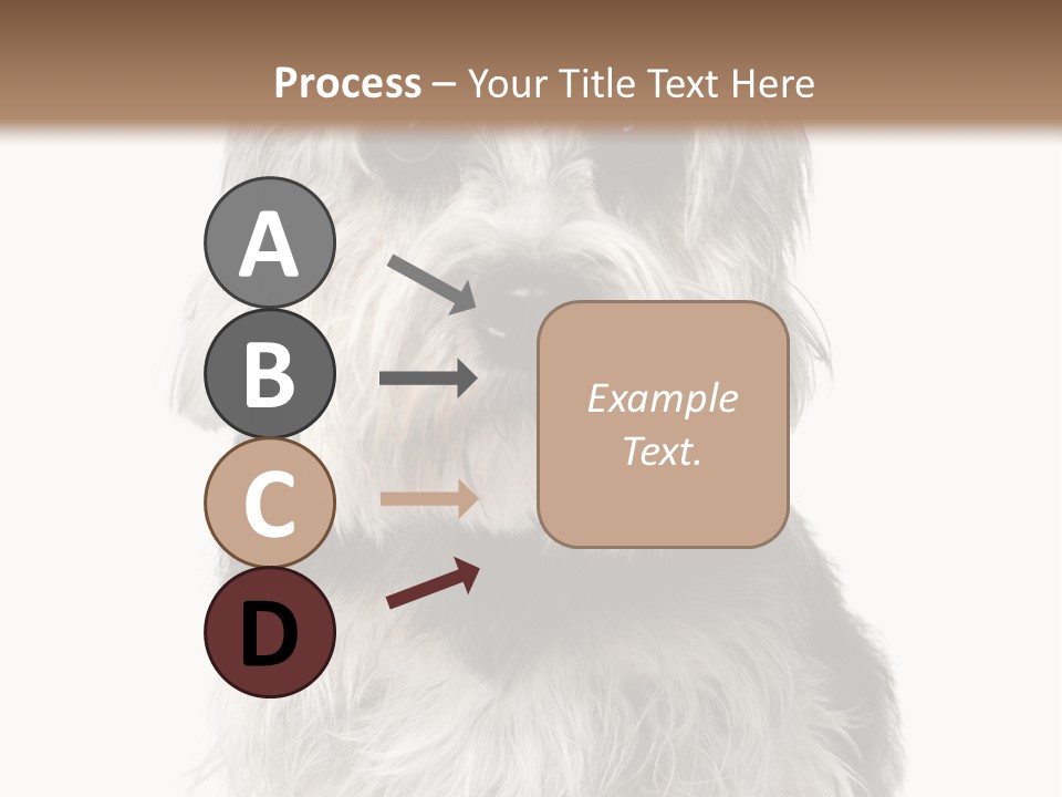 Years Old Animal Themes Obedient PowerPoint Template