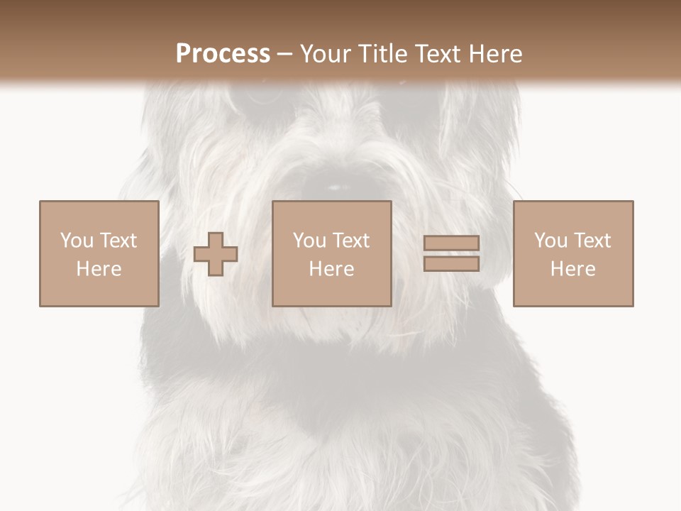 Years Old Animal Themes Obedient PowerPoint Template