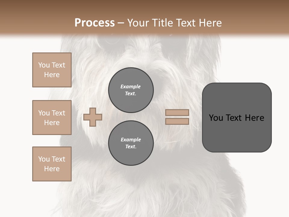 Years Old Animal Themes Obedient PowerPoint Template