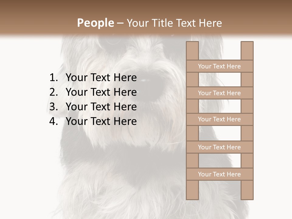 Years Old Animal Themes Obedient PowerPoint Template