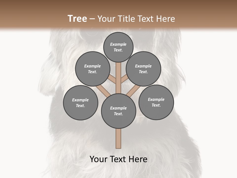 Years Old Animal Themes Obedient PowerPoint Template