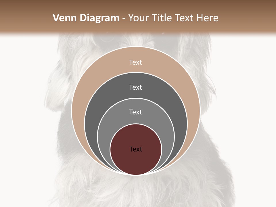 Years Old Animal Themes Obedient PowerPoint Template