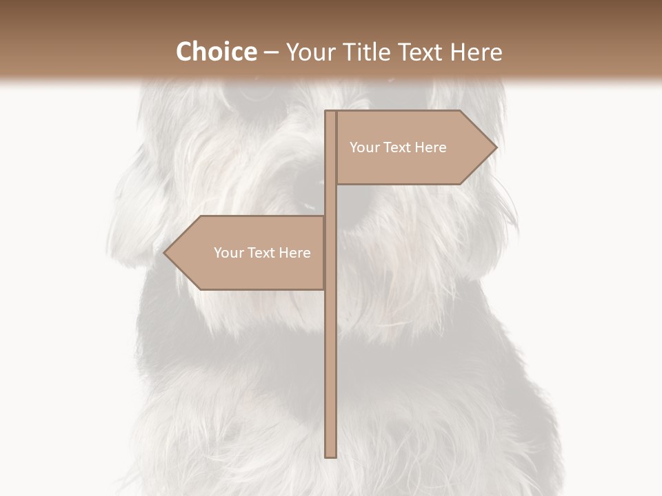 Years Old Animal Themes Obedient PowerPoint Template