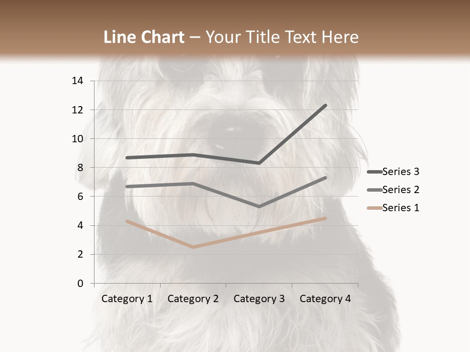 Years Old Animal Themes Obedient PowerPoint Template