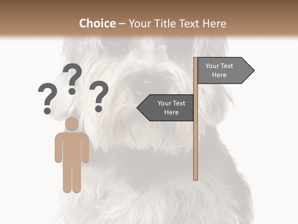 Years Old Animal Themes Obedient PowerPoint Template
