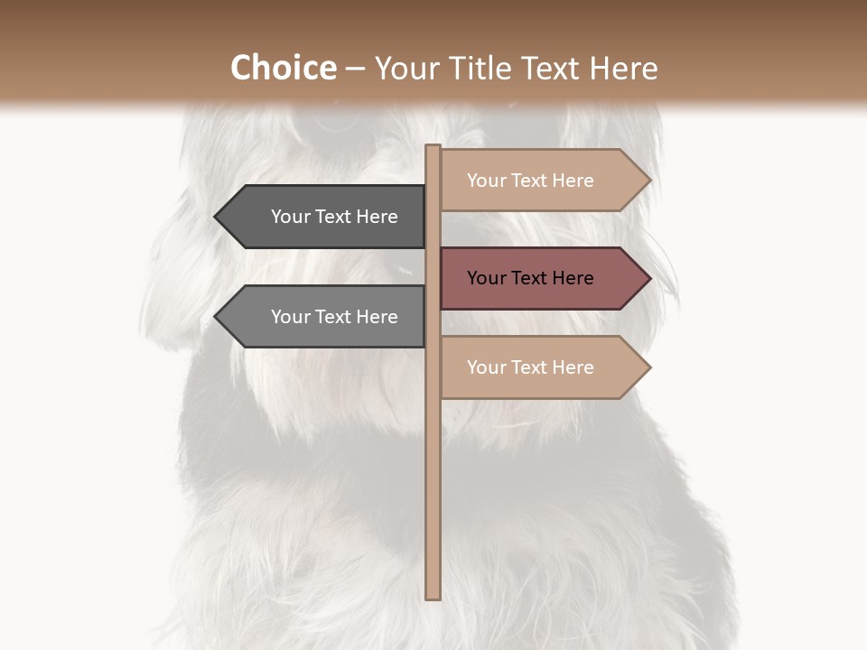 Years Old Animal Themes Obedient PowerPoint Template