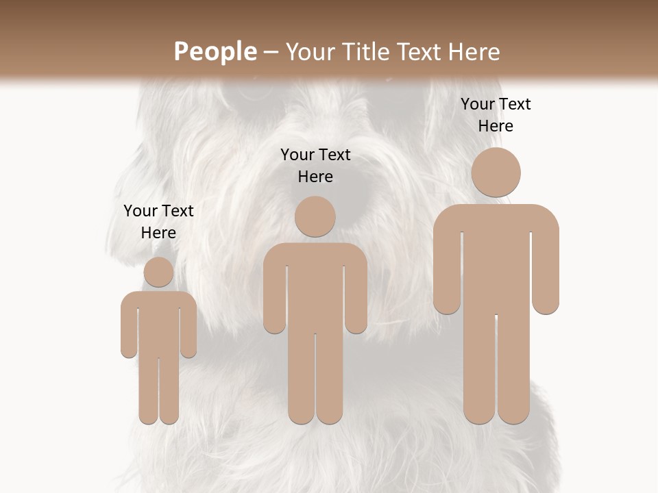 Years Old Animal Themes Obedient PowerPoint Template