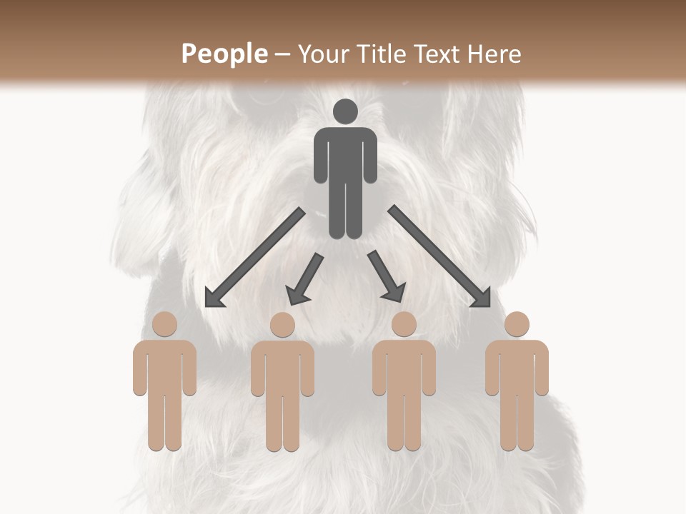 Years Old Animal Themes Obedient PowerPoint Template