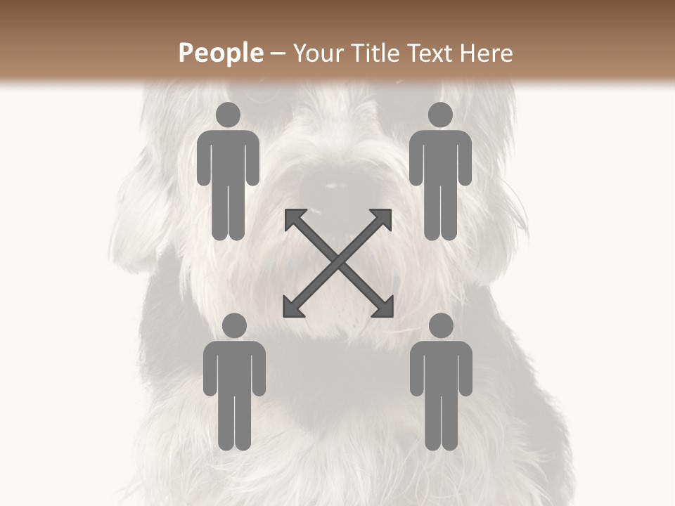 Years Old Animal Themes Obedient PowerPoint Template