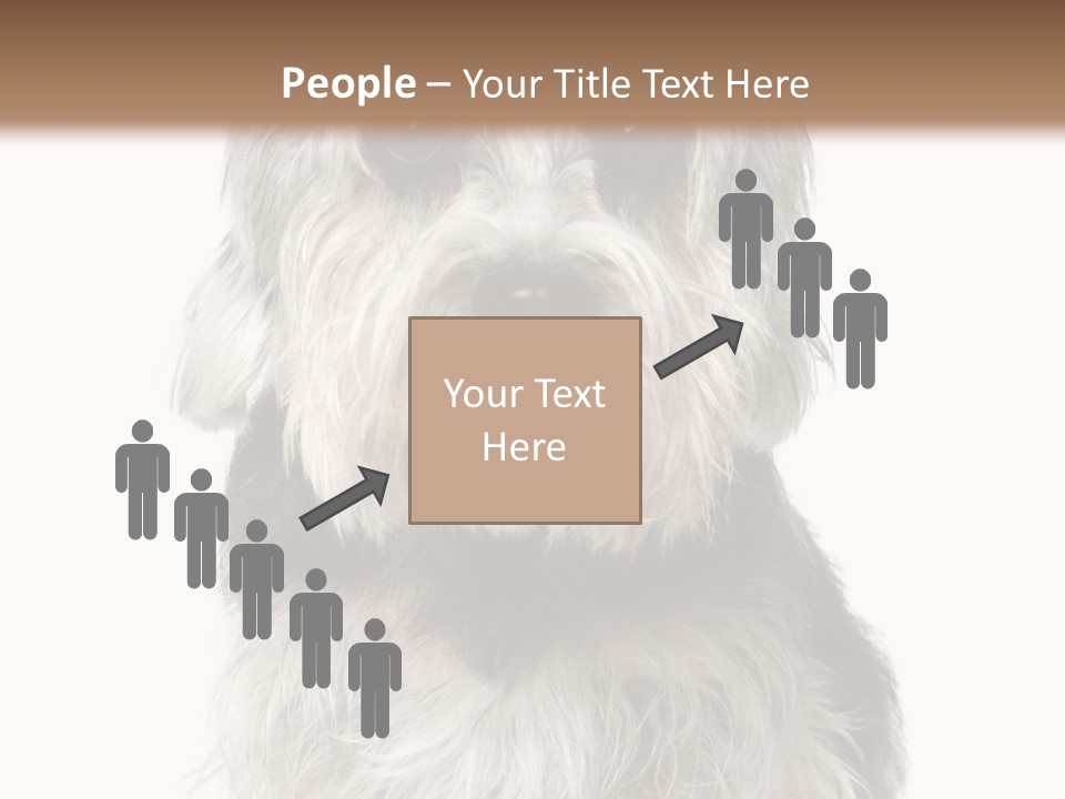 Years Old Animal Themes Obedient PowerPoint Template