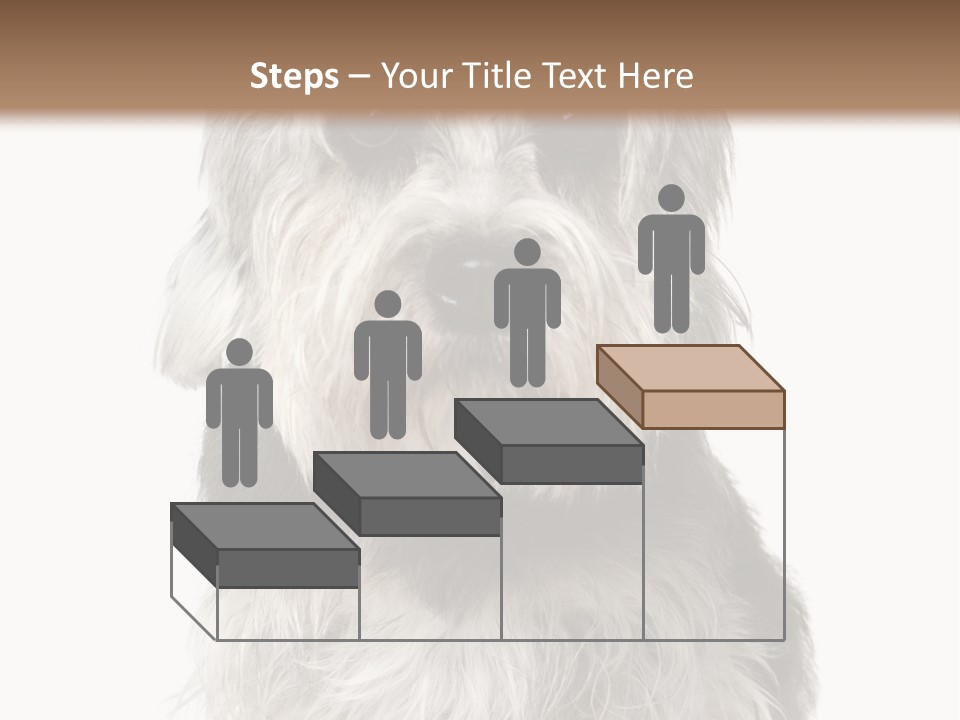 Years Old Animal Themes Obedient PowerPoint Template