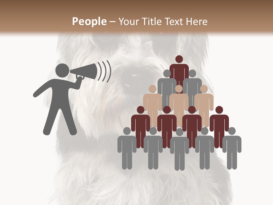 Years Old Animal Themes Obedient PowerPoint Template