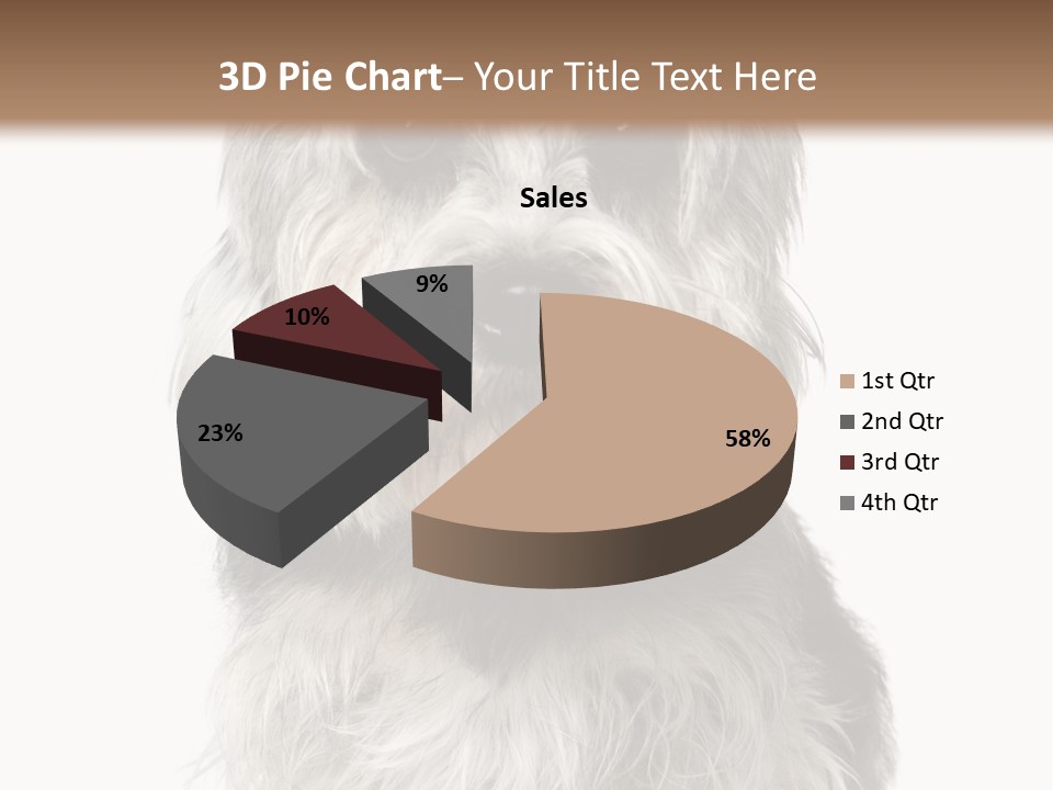Years Old Animal Themes Obedient PowerPoint Template