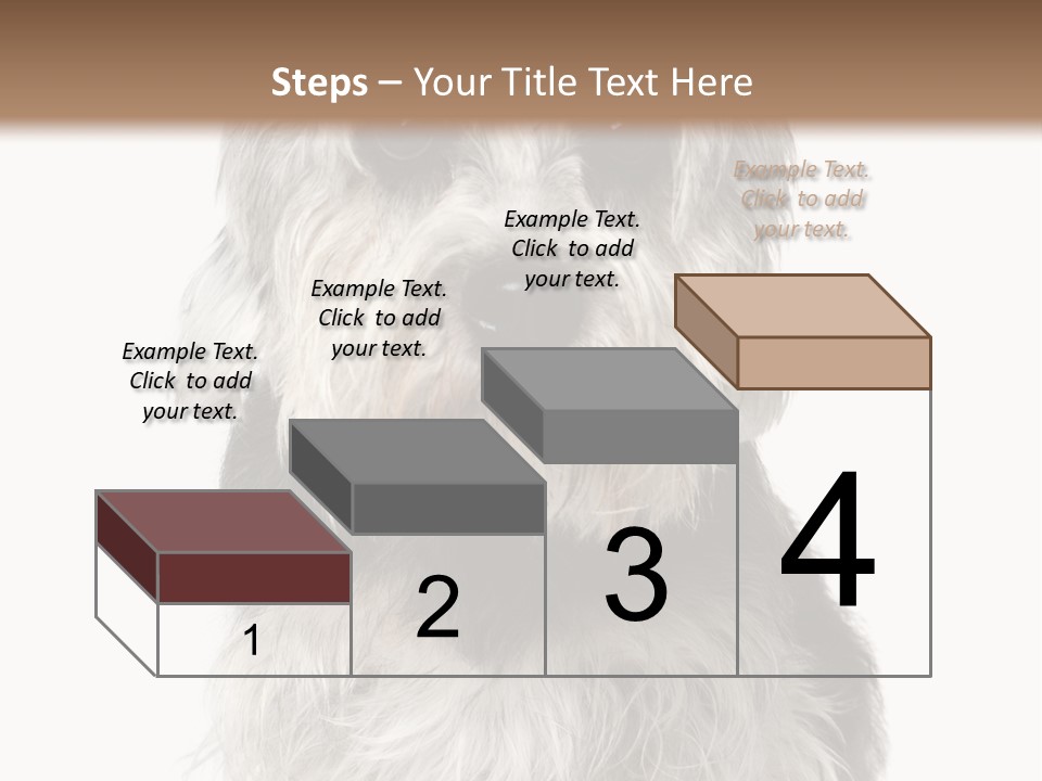 Years Old Animal Themes Obedient PowerPoint Template