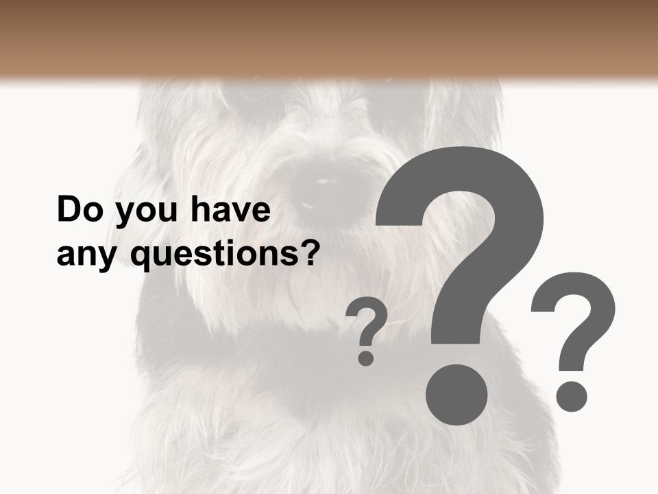 Years Old Animal Themes Obedient PowerPoint Template