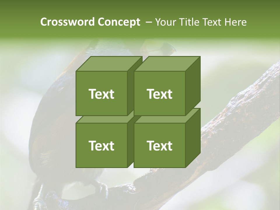 Wild Bird One PowerPoint Template