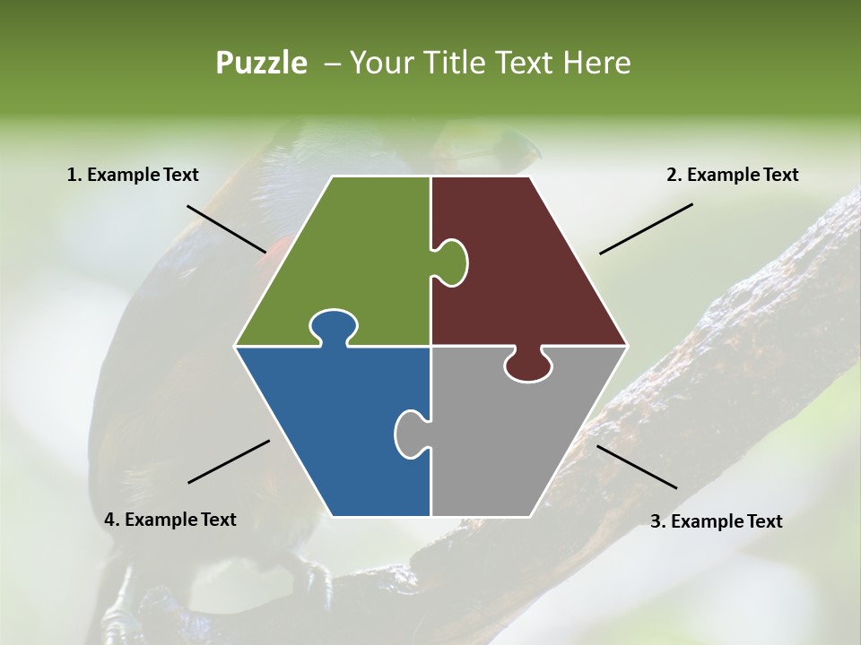 Wild Bird One PowerPoint Template