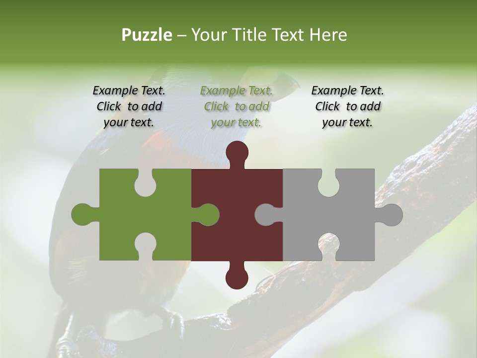 Wild Bird One PowerPoint Template