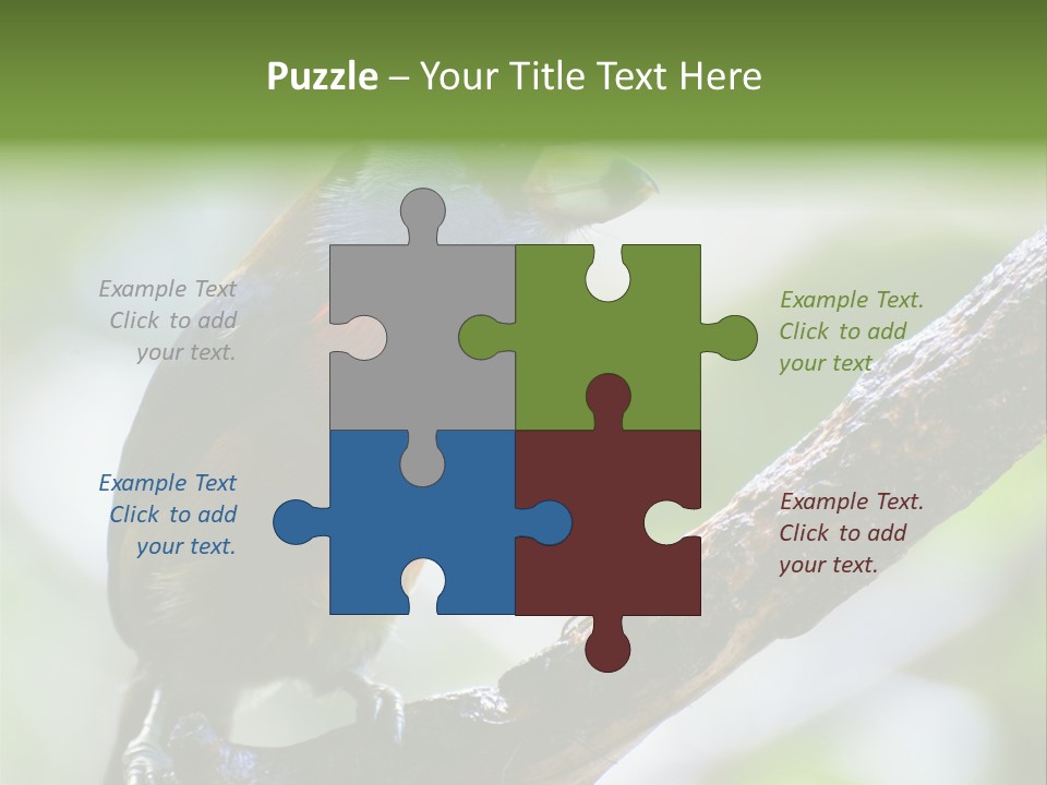 Wild Bird One PowerPoint Template