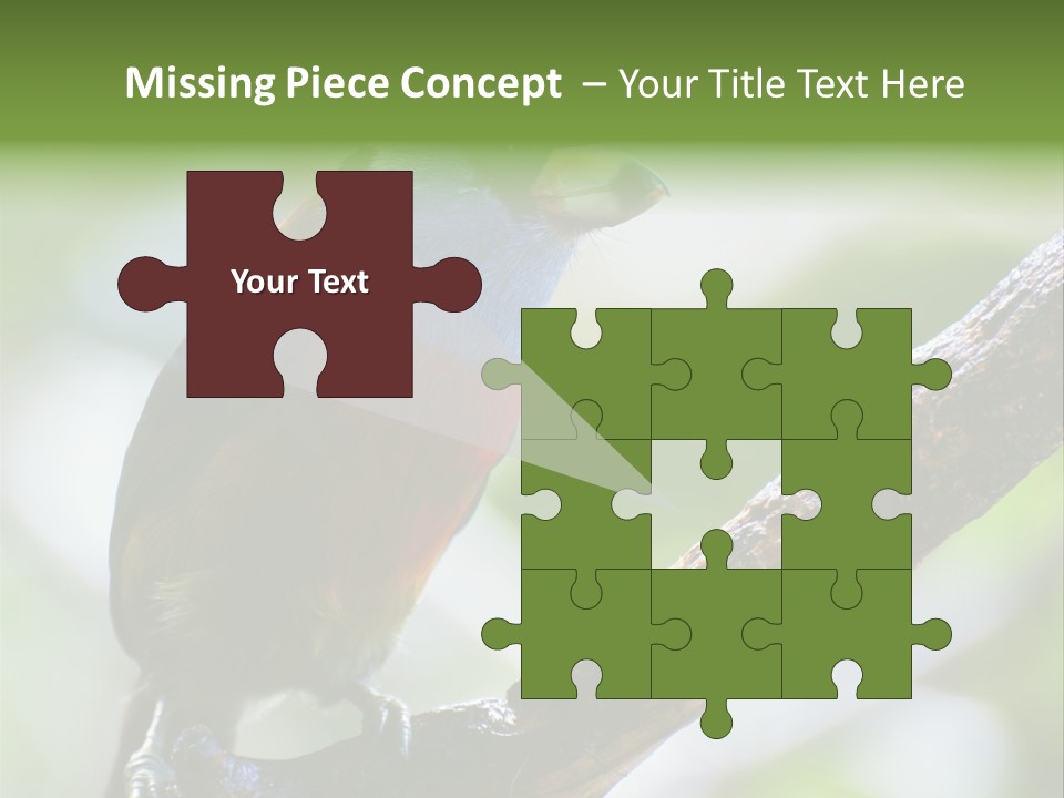 Wild Bird One PowerPoint Template