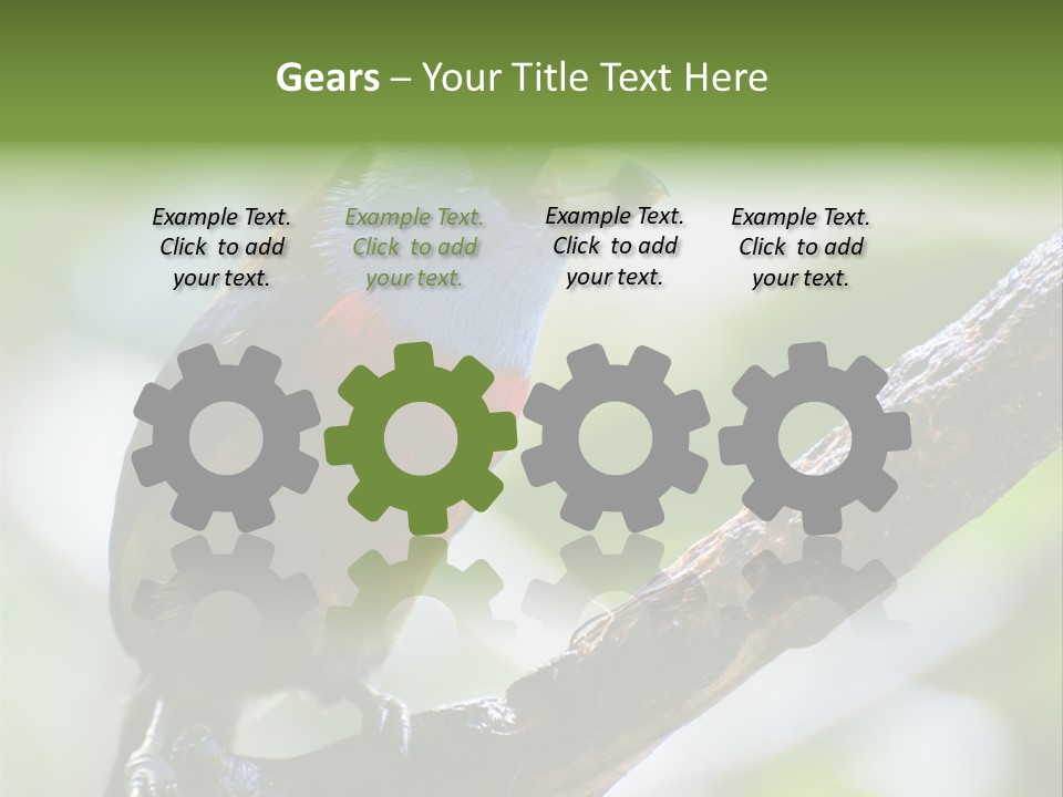 Wild Bird One PowerPoint Template