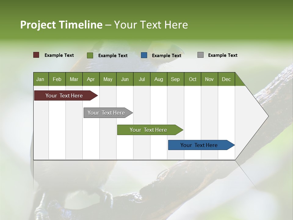 Wild Bird One PowerPoint Template