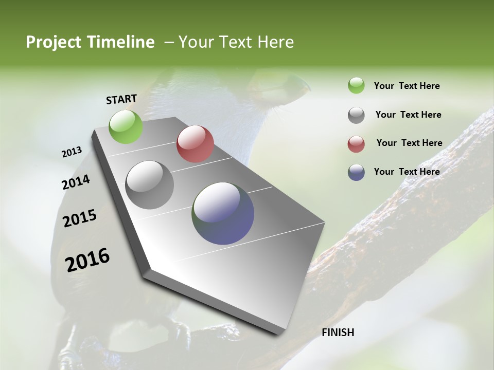 Wild Bird One PowerPoint Template