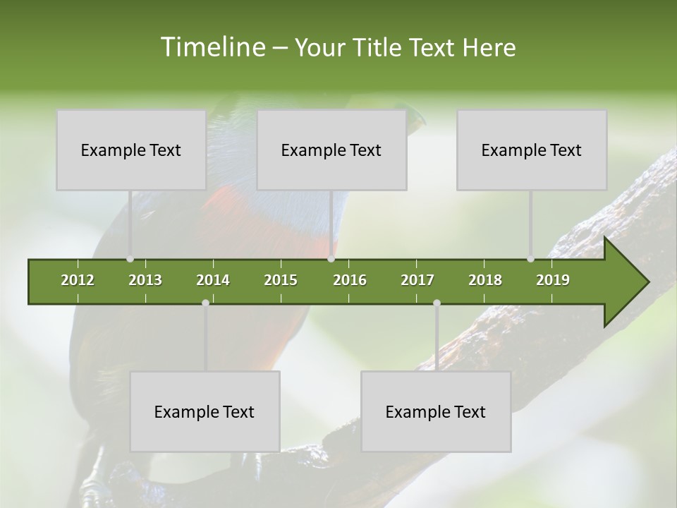 Wild Bird One PowerPoint Template